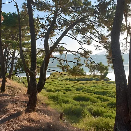 Apartamento Holibai Albatros, Duplex Junto Al Mar, Cerca De Vigo Y Sus Luces Navidenas *